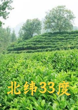 成龙影片大全免费