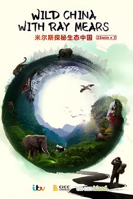 电影深入敌后在线观看