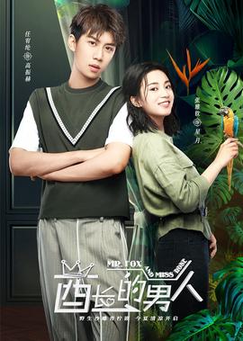 毛骨悚然撞鬼经2021百度网盘